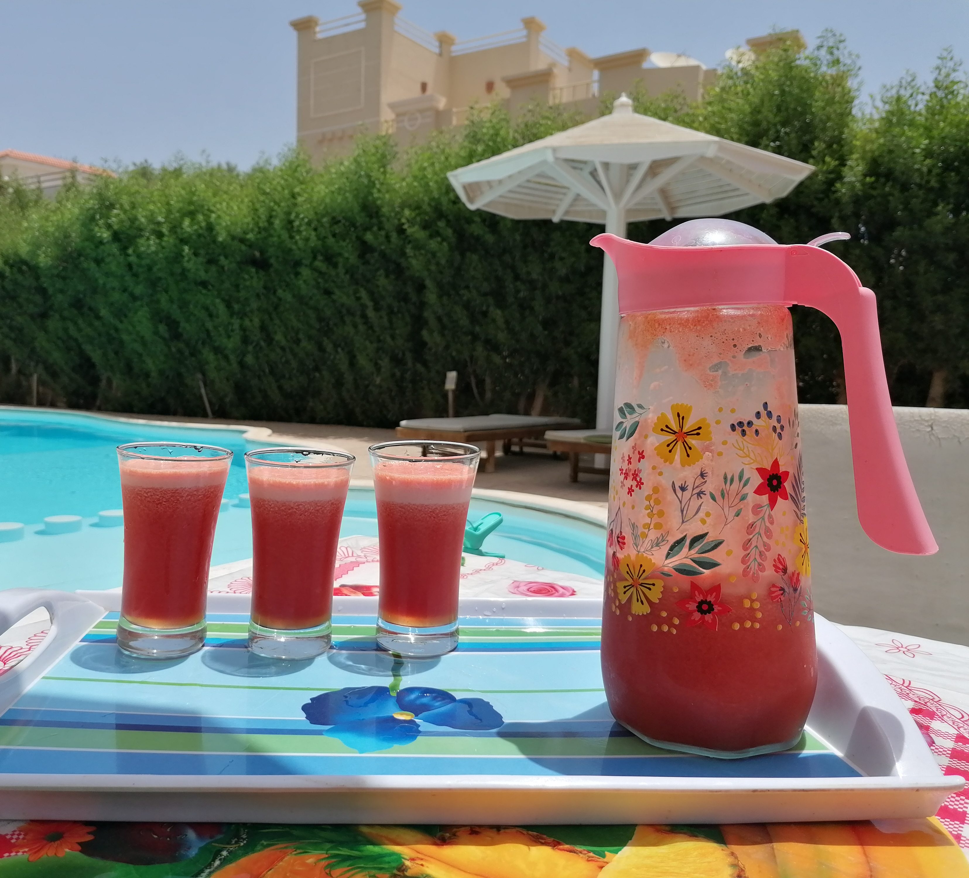 Juice cocktails at Healing Retreats Egypt