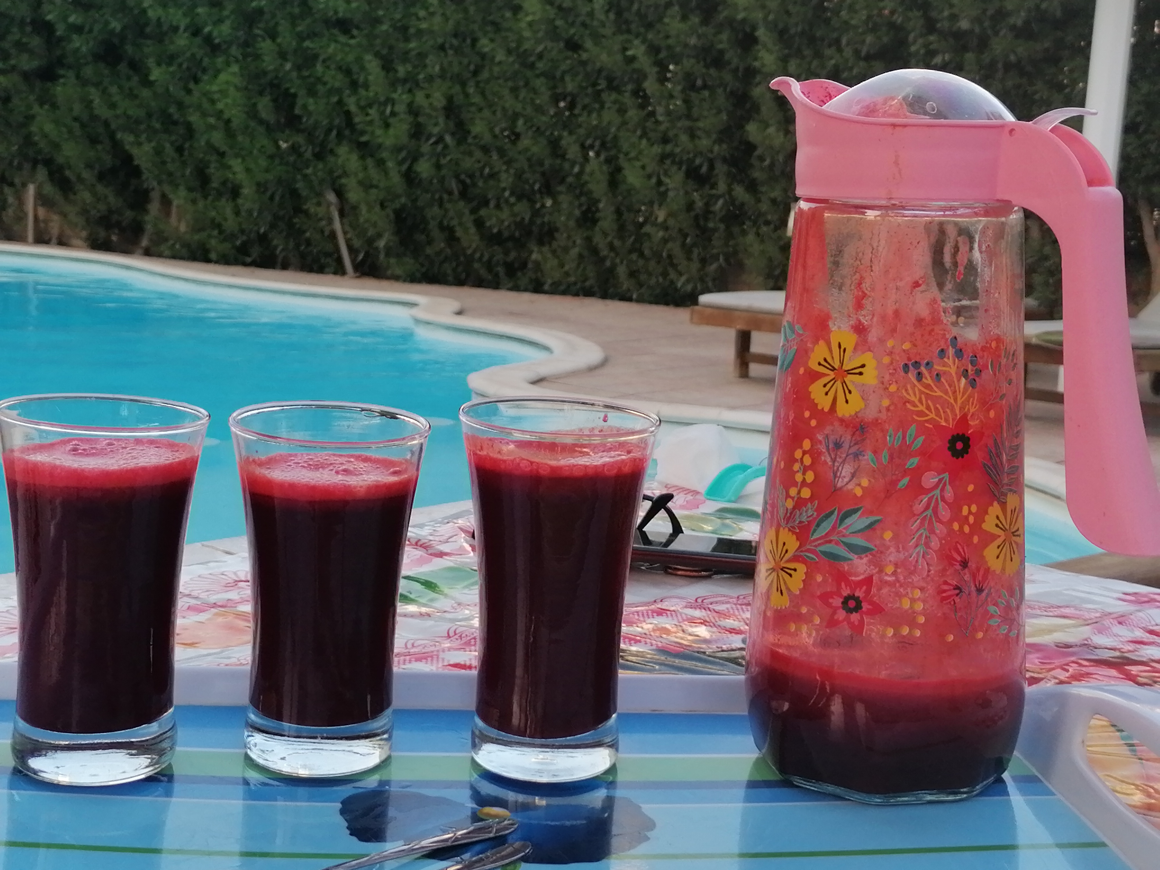 Vegetable juice cocktail at healing retreats egypt